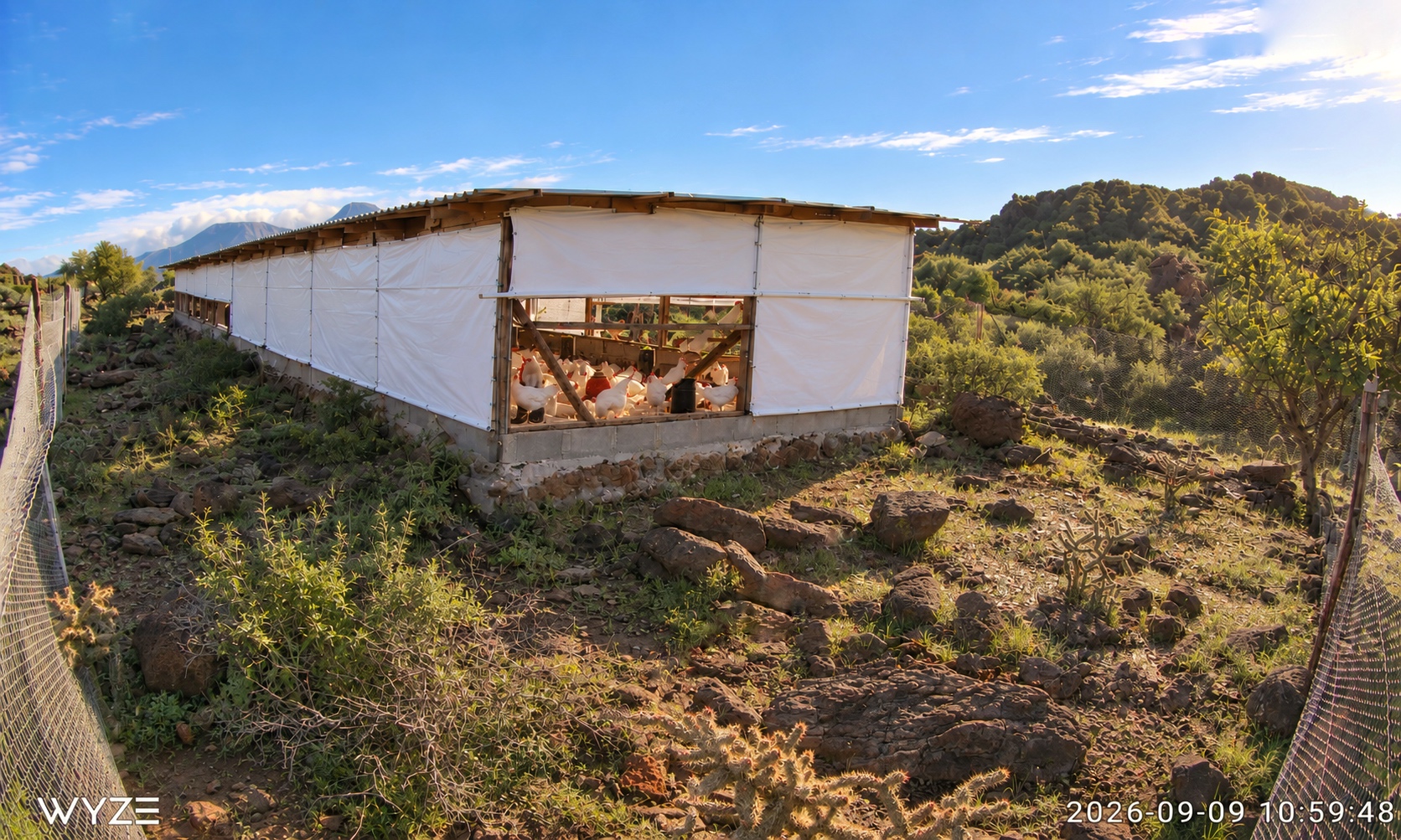 Exterior de la nave de Avícola Luz del Campo